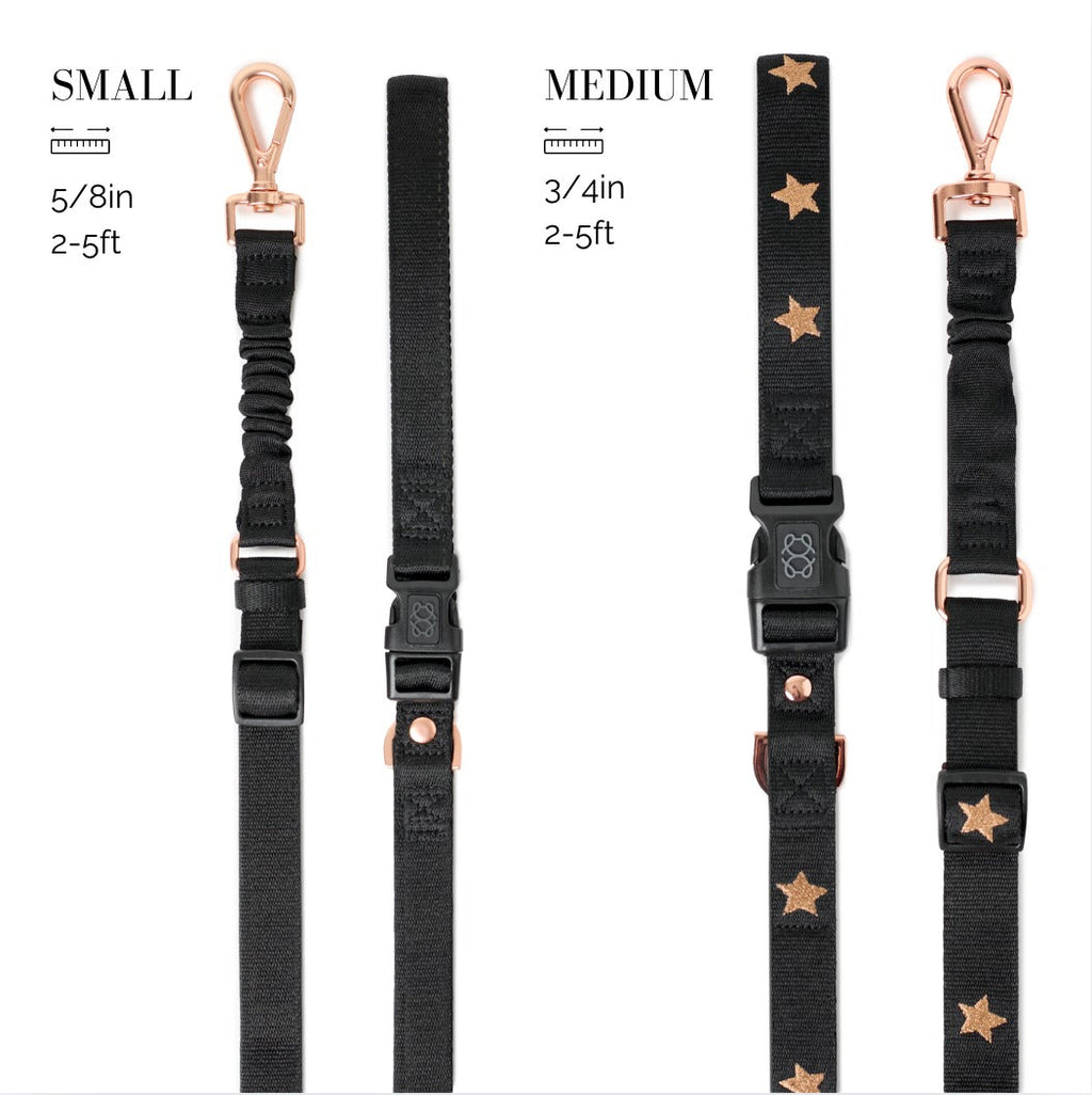3-in-1 City Dog Leash - Rockstar