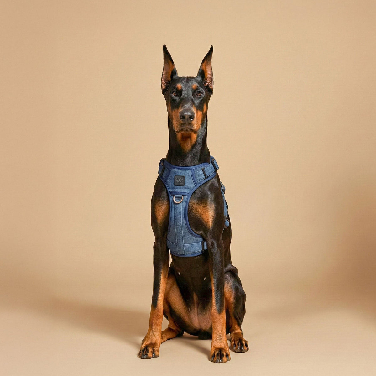 The NoMad Adjustable Luxe Harness - Denim