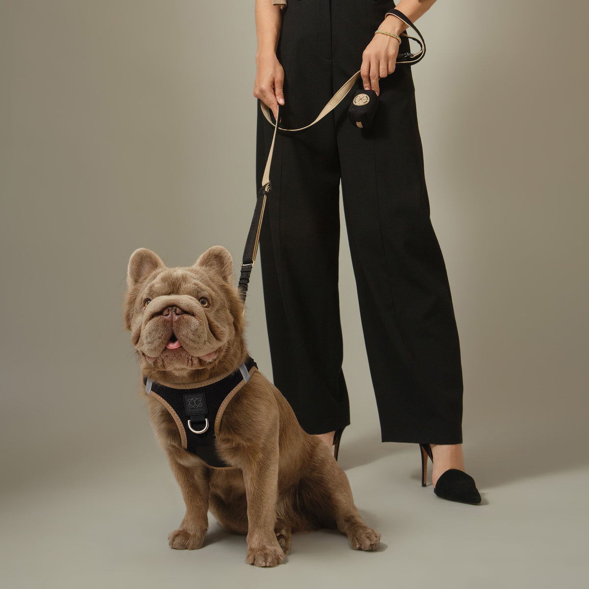 3-in-1 City Dog Leash - Crosby