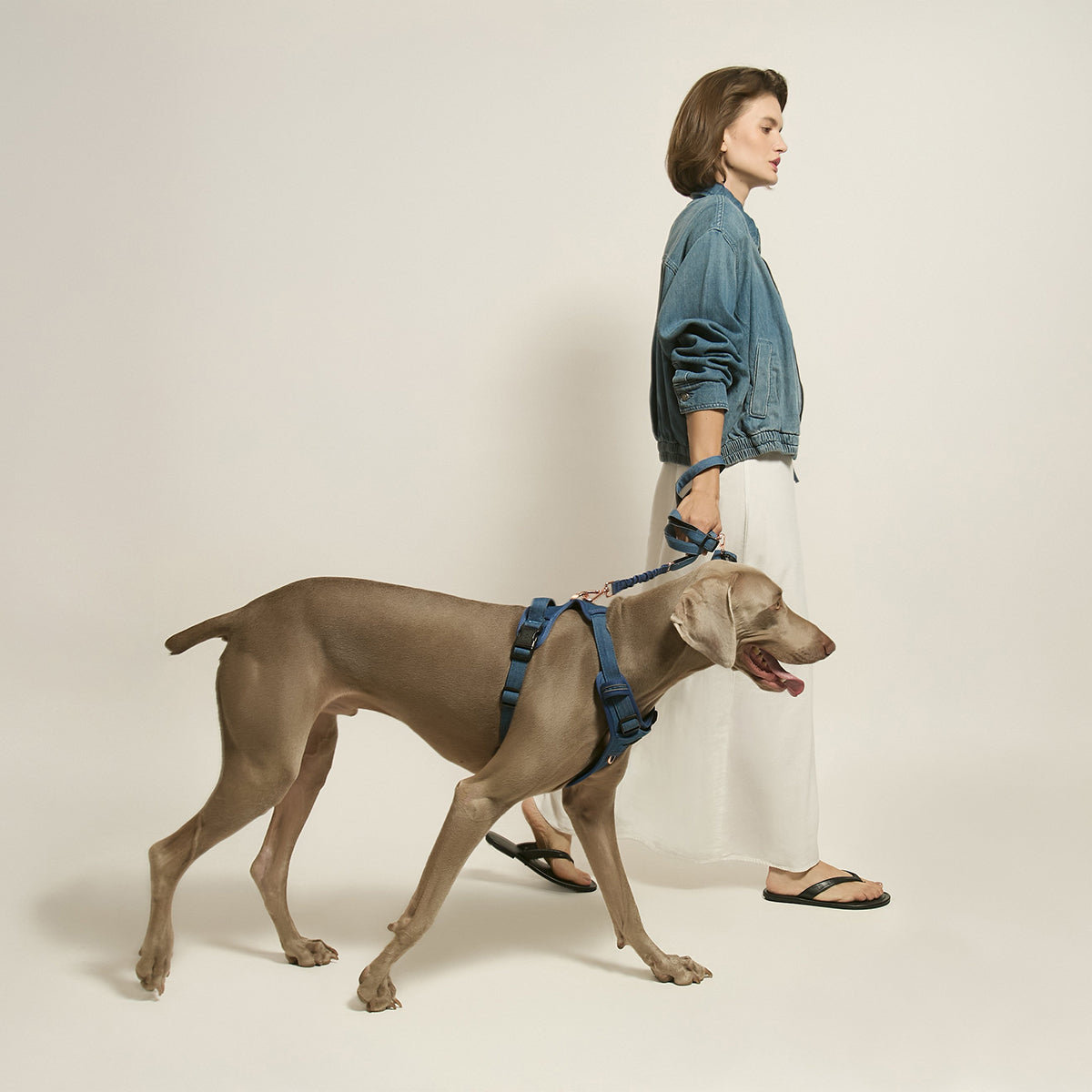 The NoMad Adjustable Luxe Harness - Denim