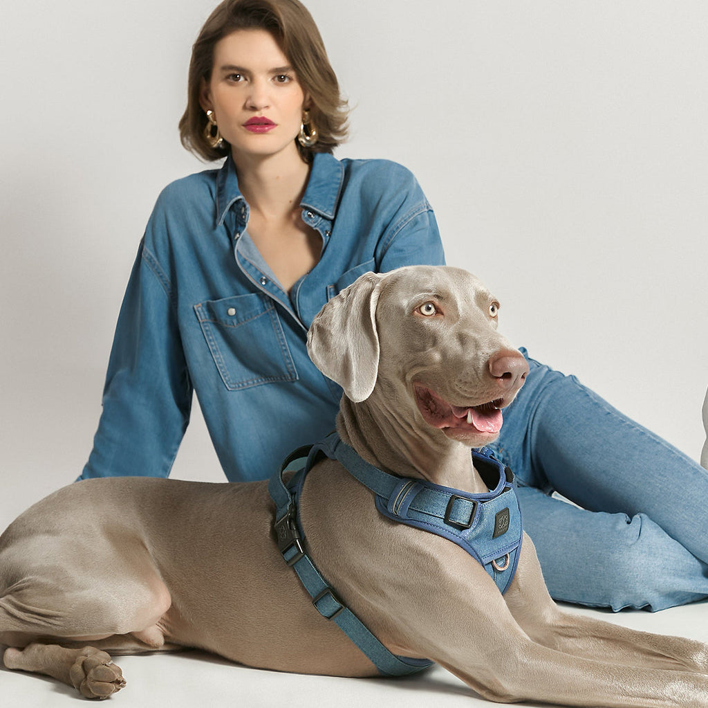 The NoMad Adjustable Luxe Harness - Denim
