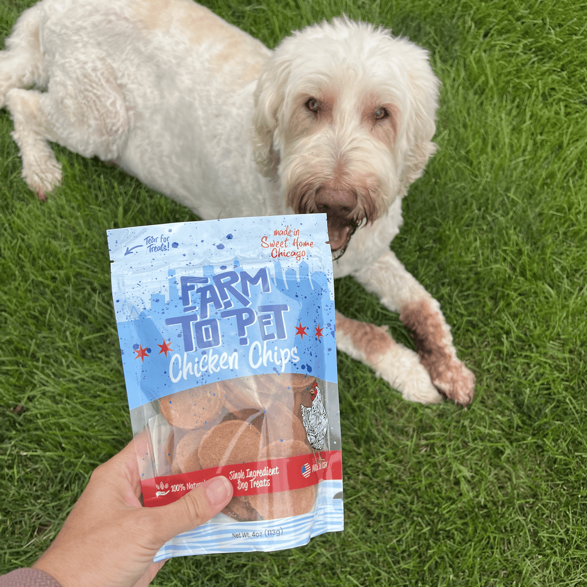 Chicago Chicken Chips for Dogs | Dog Treats To Celebrate Our Hometown