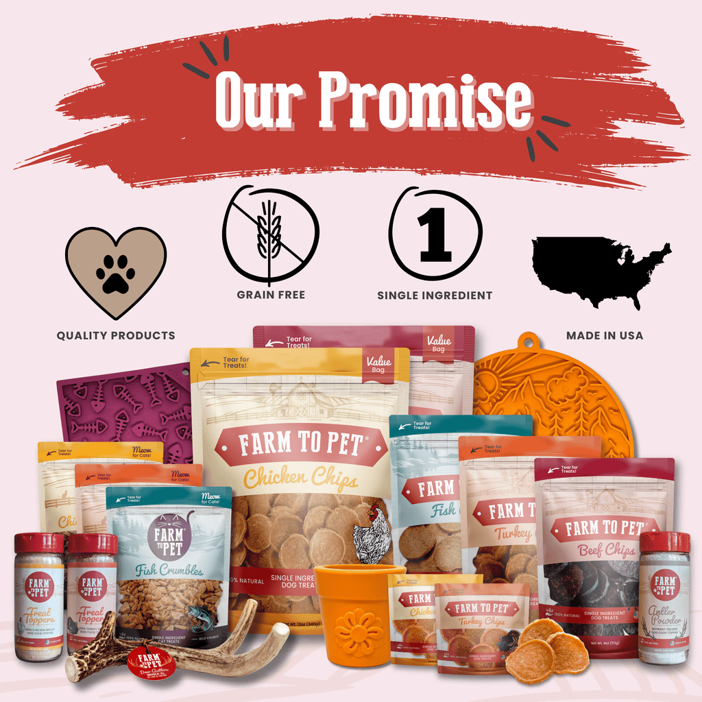 Beef Chips Snack Pack Bundles | Dog Treats for Training & Travel