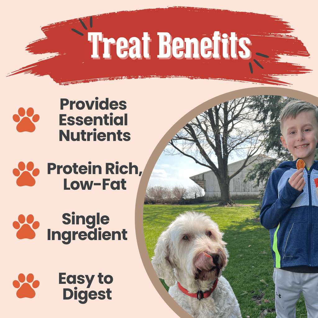 Turkey Chips for Dogs | All-Natural Single-Ingredient Healthy Dog Treats