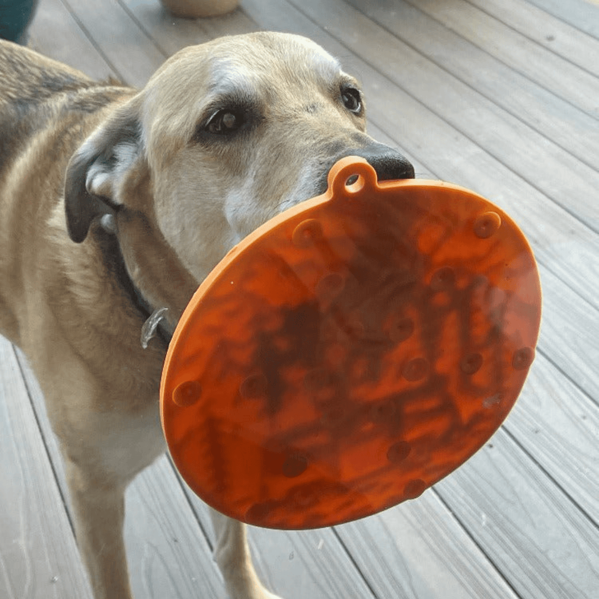 Dog Lick Mats with Suction Cups