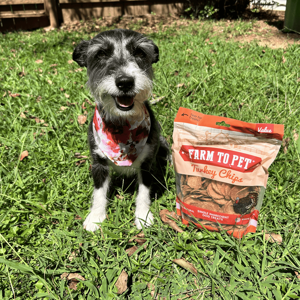 Turkey Chips for Dogs | All-Natural Single-Ingredient Healthy Dog Treats