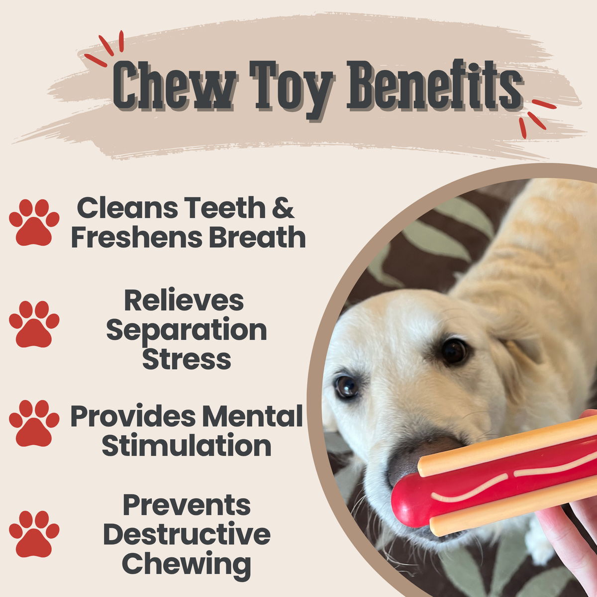 Chew Toys
