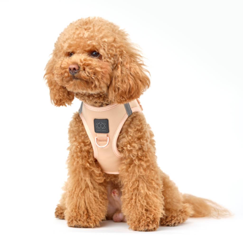 SoHo Dog Harness - Dune